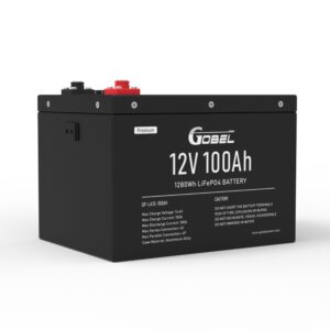 GP-LA12-100AH